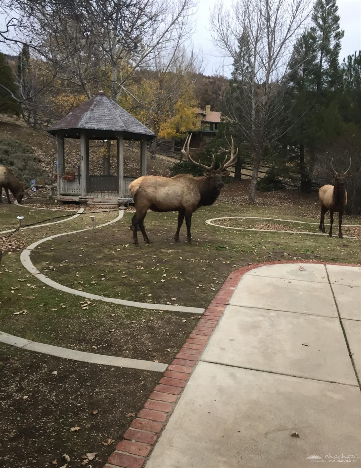 24500 Cub Court