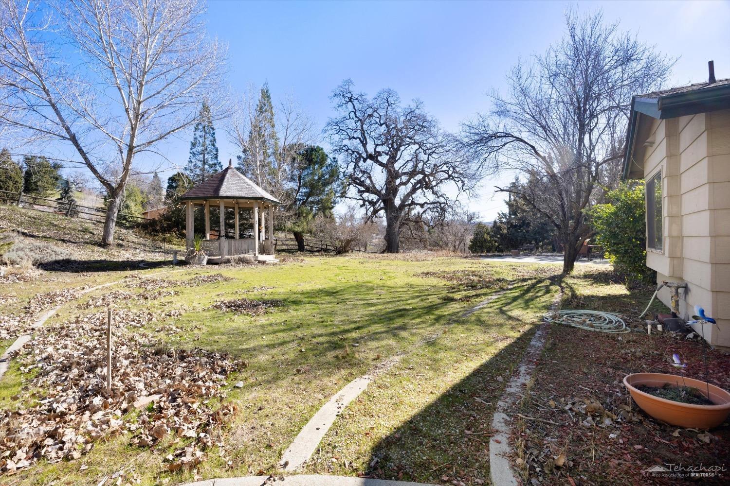 24500 Cub Court