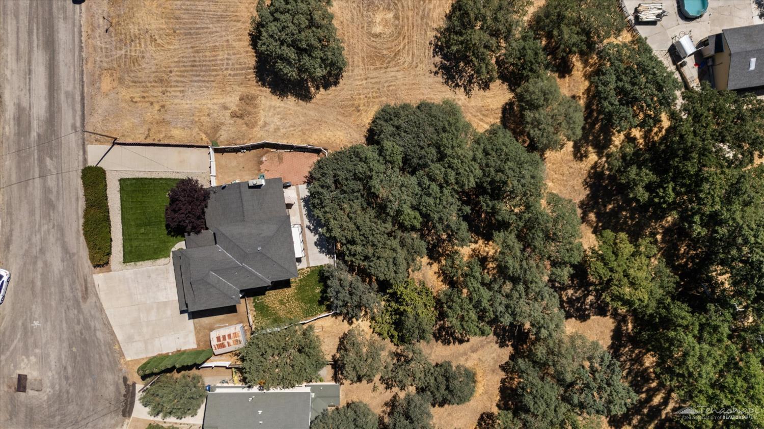 22831 Branch Court