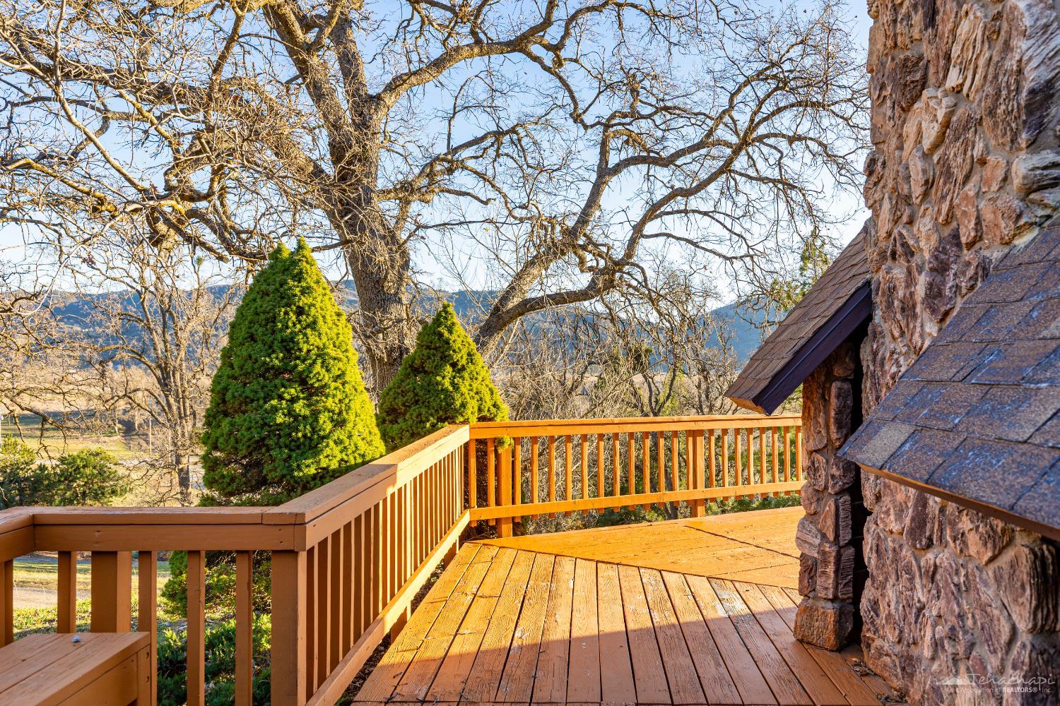 24450 Oaktree Court