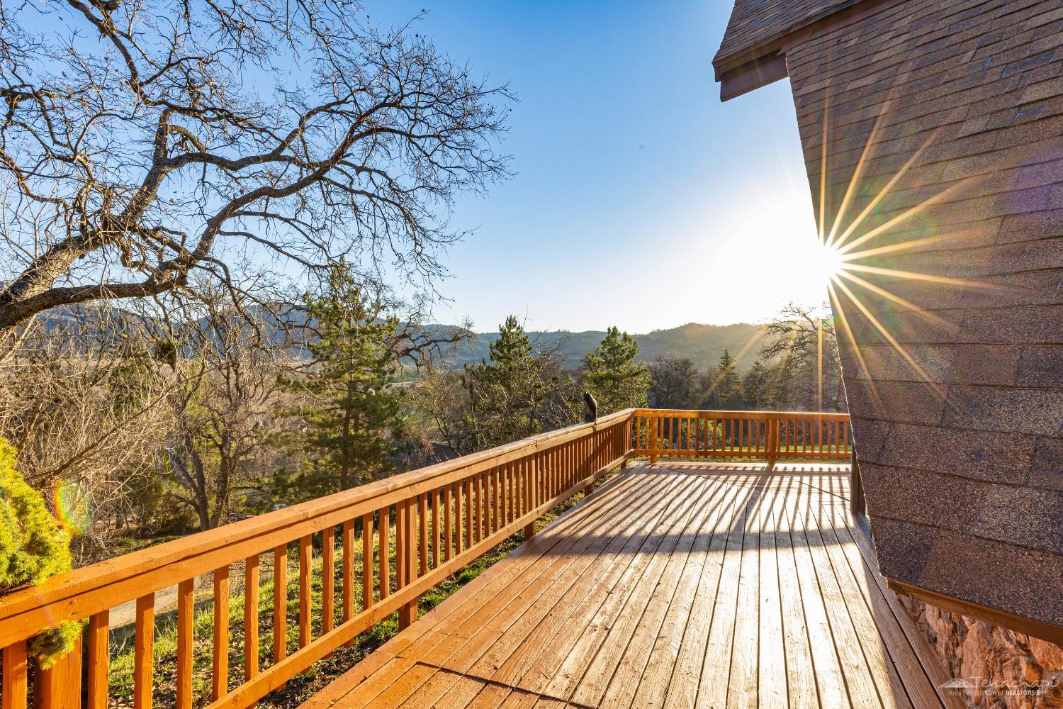 24450 Oaktree Court