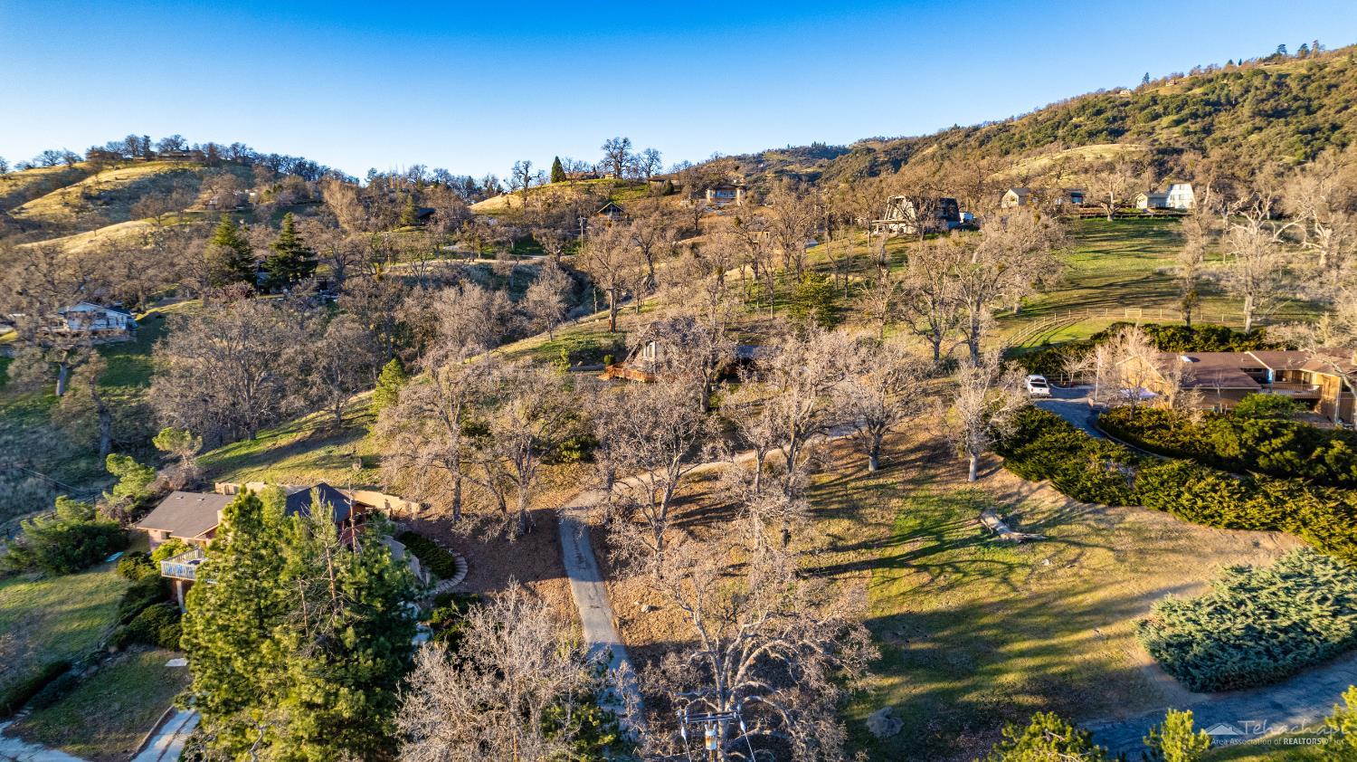 24450 Oaktree Court