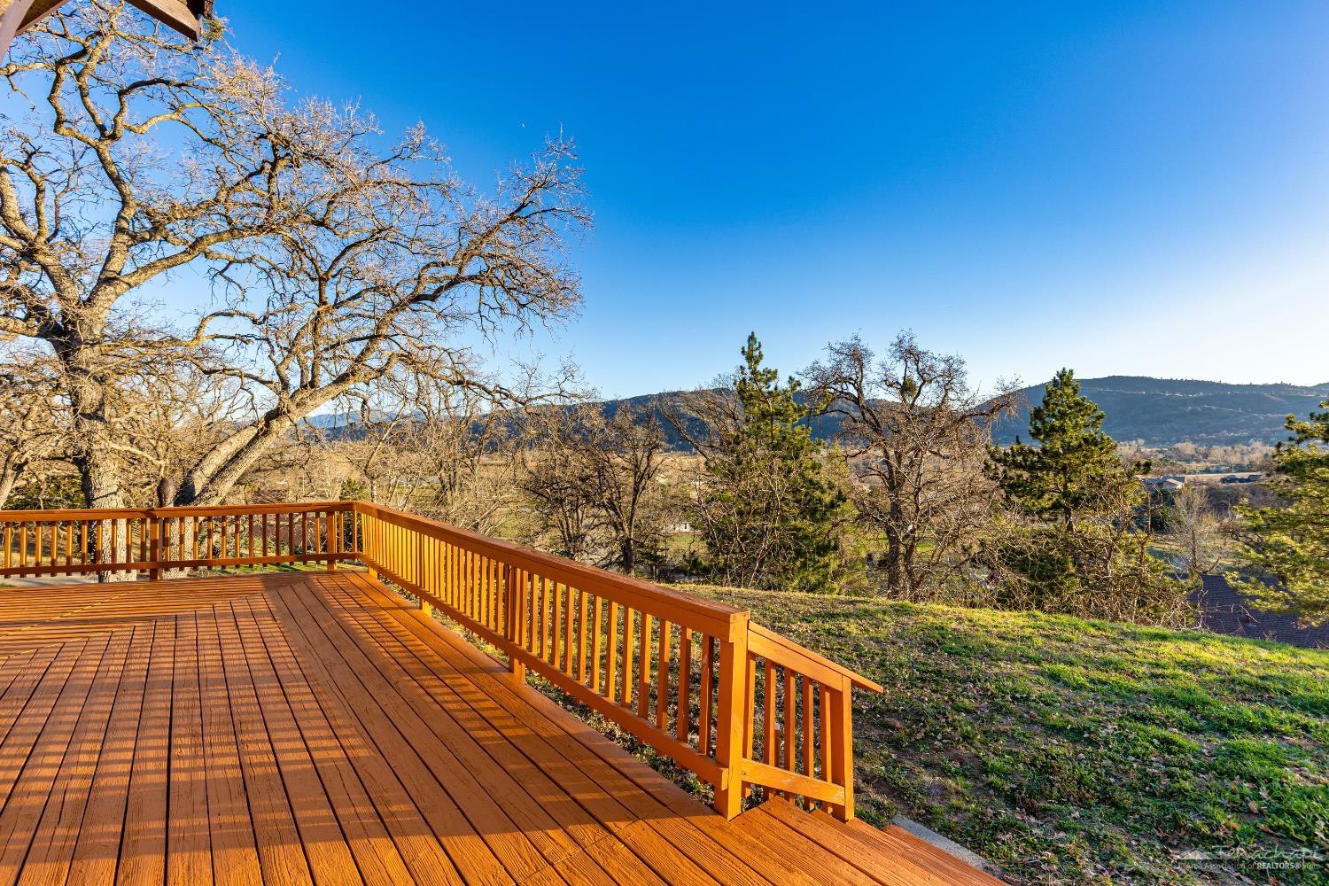 24450 Oaktree Court