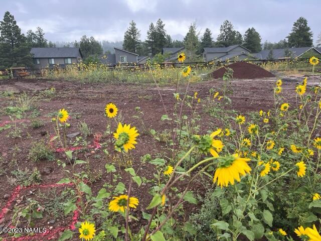 2717 S Vega Street, Lot 2