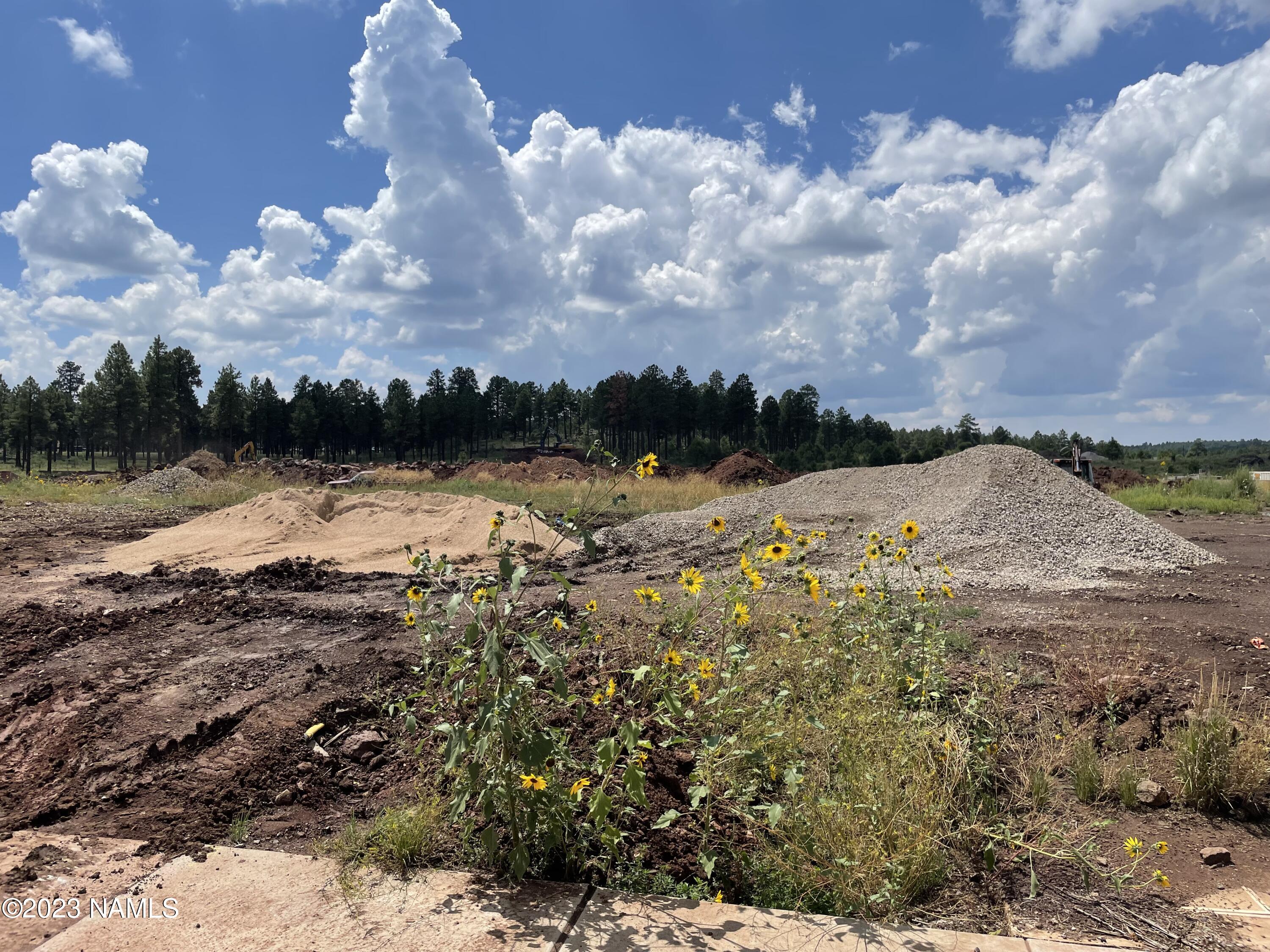 3354 W Lockwood Way, Lot 07