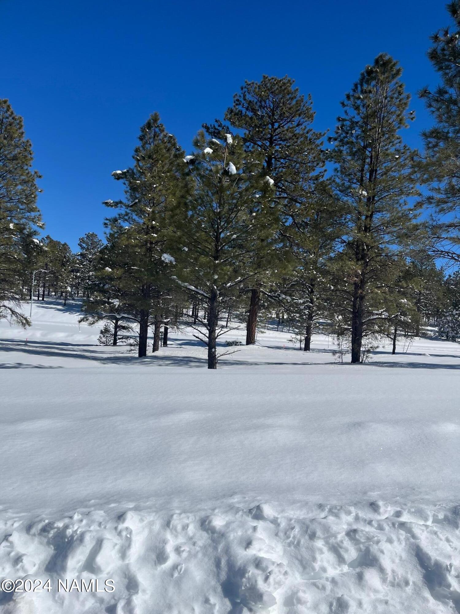 348 N Valerian Lane, Lot 45