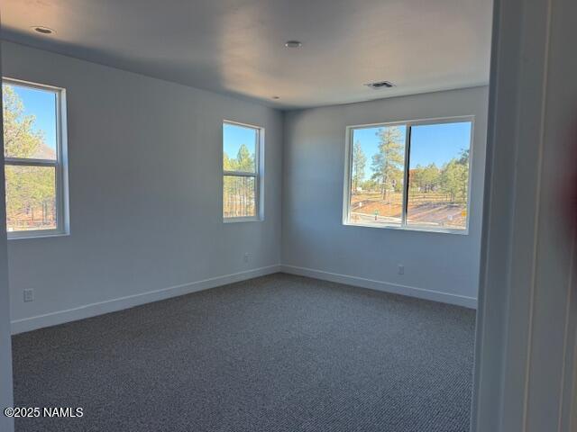 380 N Valerian Lane Lot 41