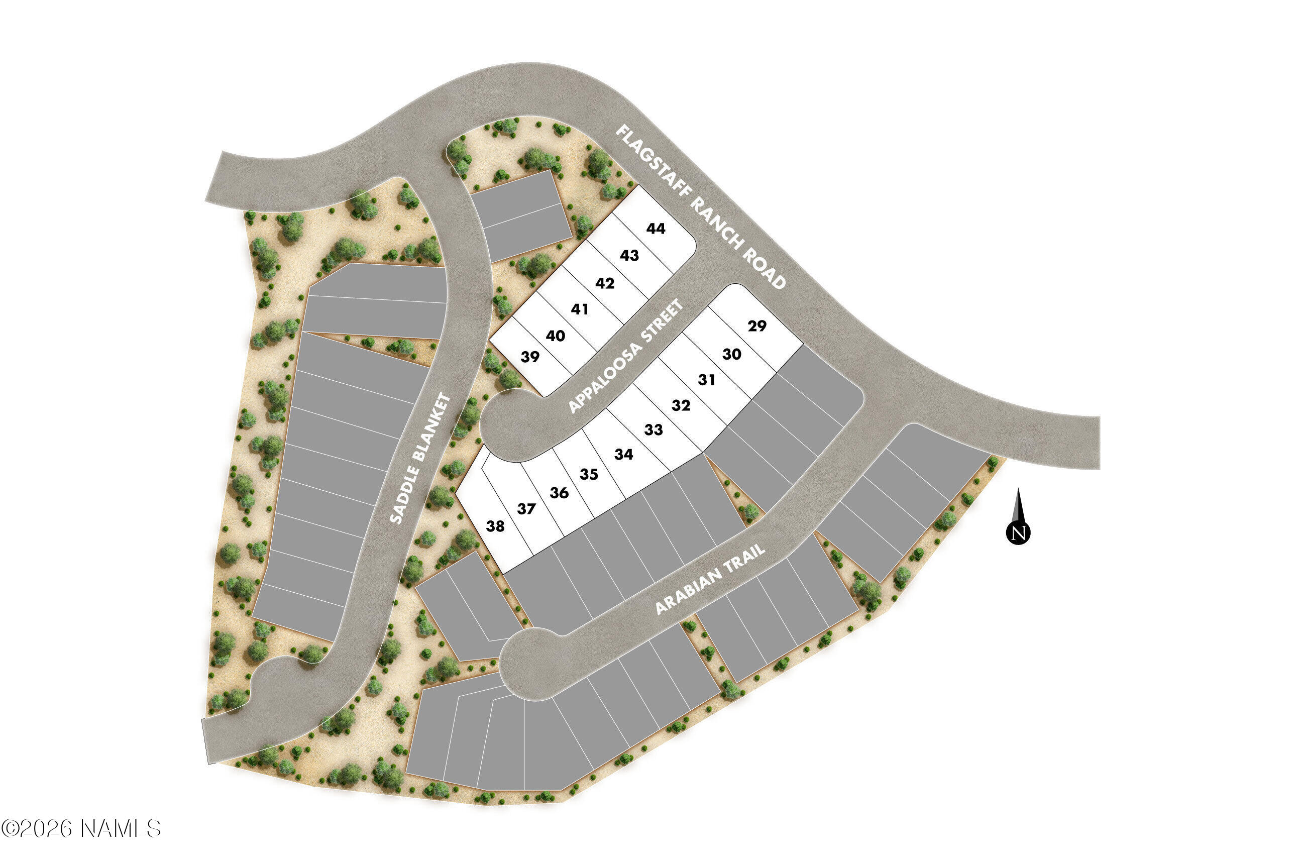 4325 Appaloosa Street 36