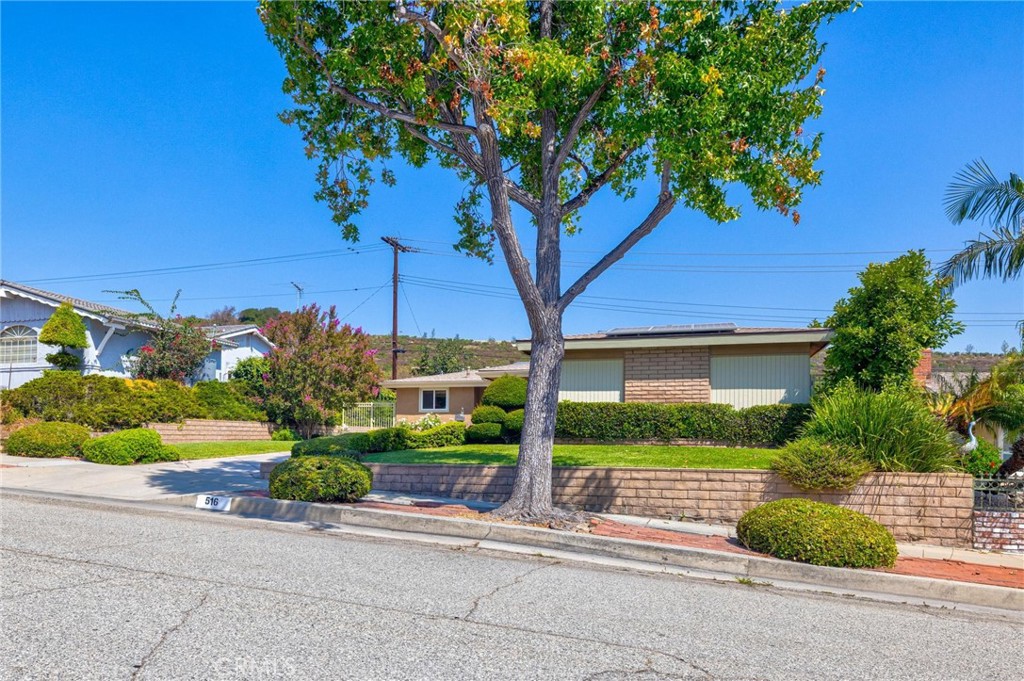 516 E Los Amigos Avenue