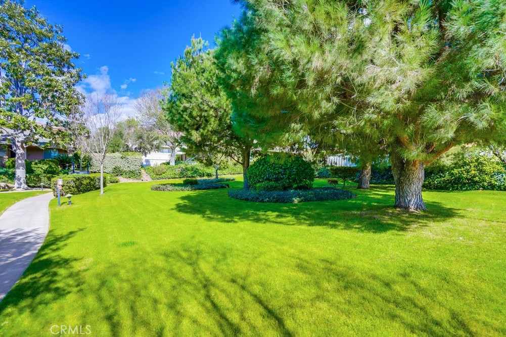 931 Glencliff Street