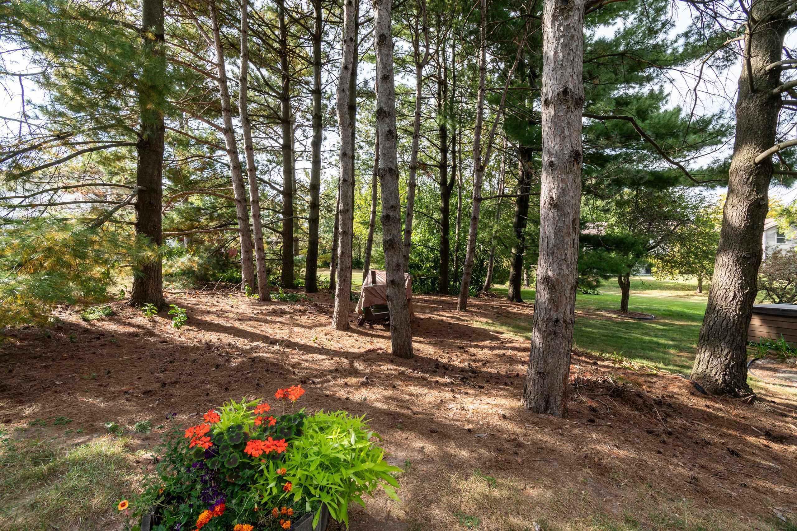 7313 ASHWABAY Lane