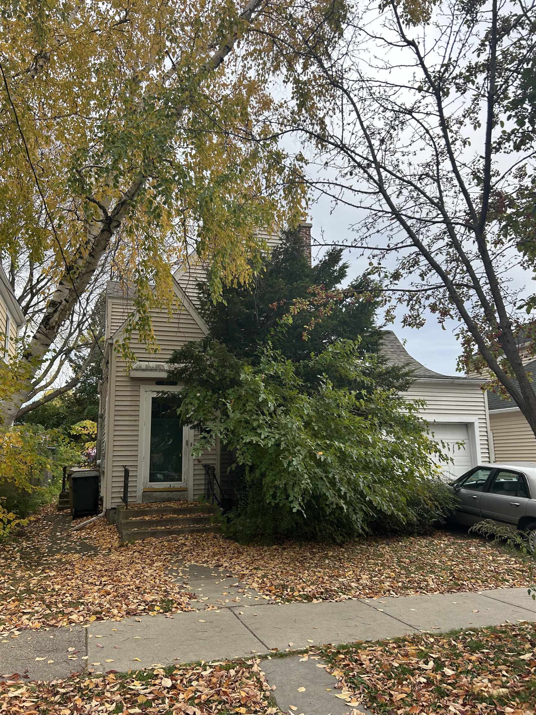 653 Sheldon Street