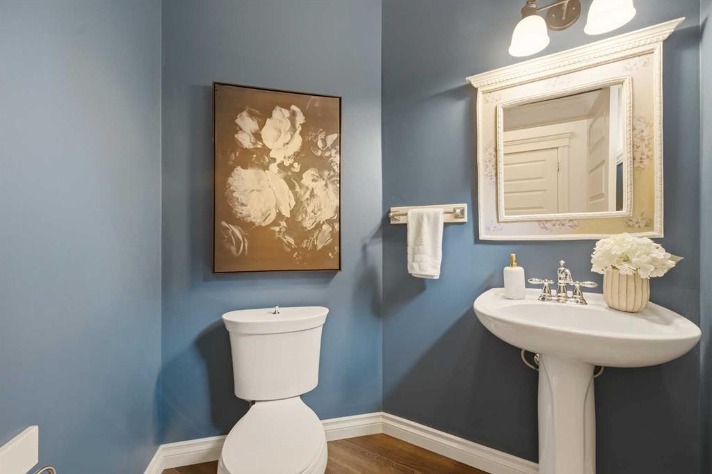Powder room with blue walls, a pedestal sink, ornate mirror, and white toilet.