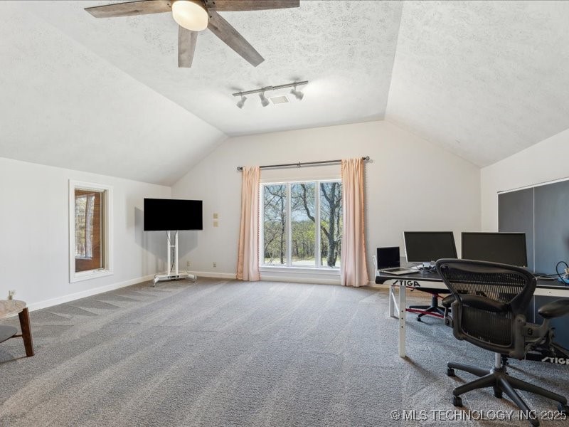 2913 N Wild Mountain Road