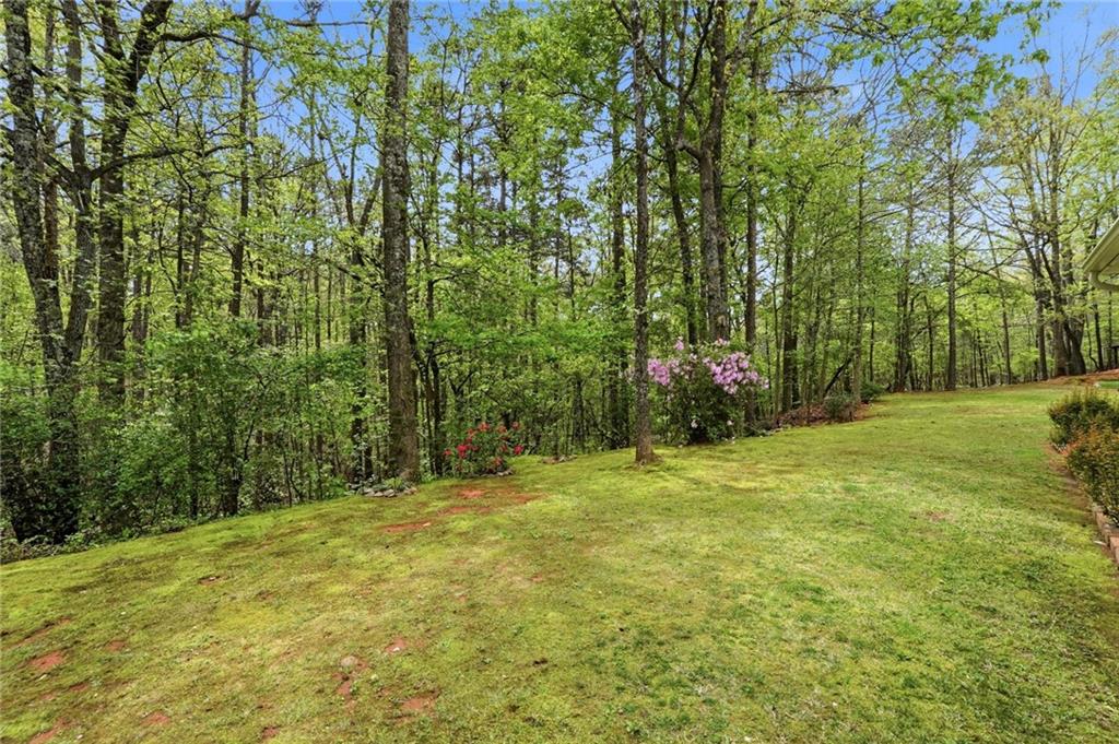 45 Wolf Ridge Trail NE