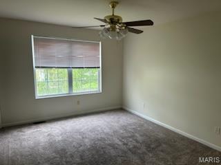 244 Sassafras Parc Drive