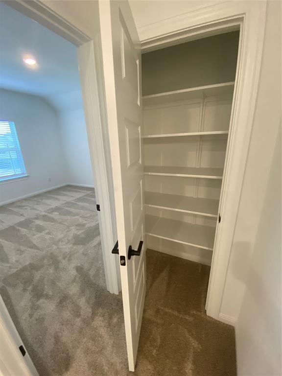 1012 Olinda CT