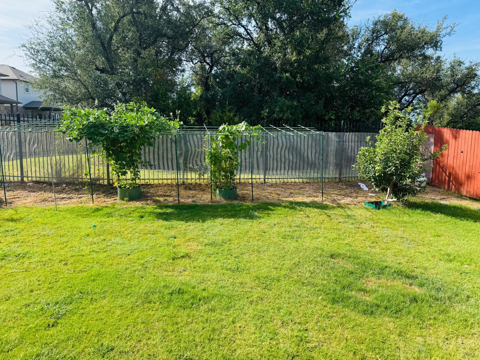 113 Queen Anne DR