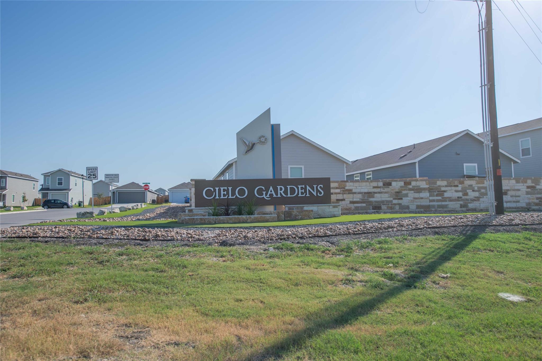 309 Marty Allen LOOP