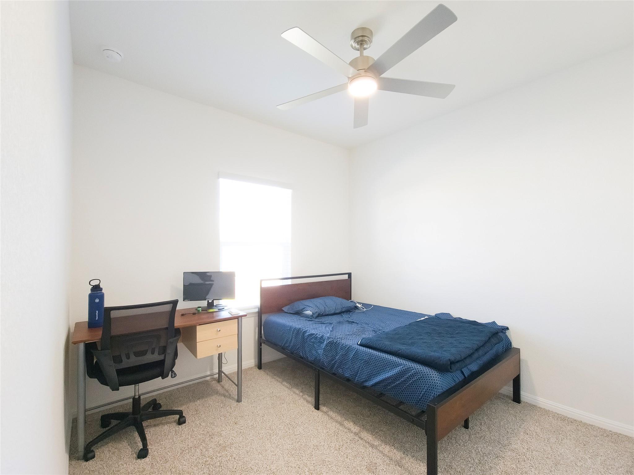 2333 March Hare TRCE