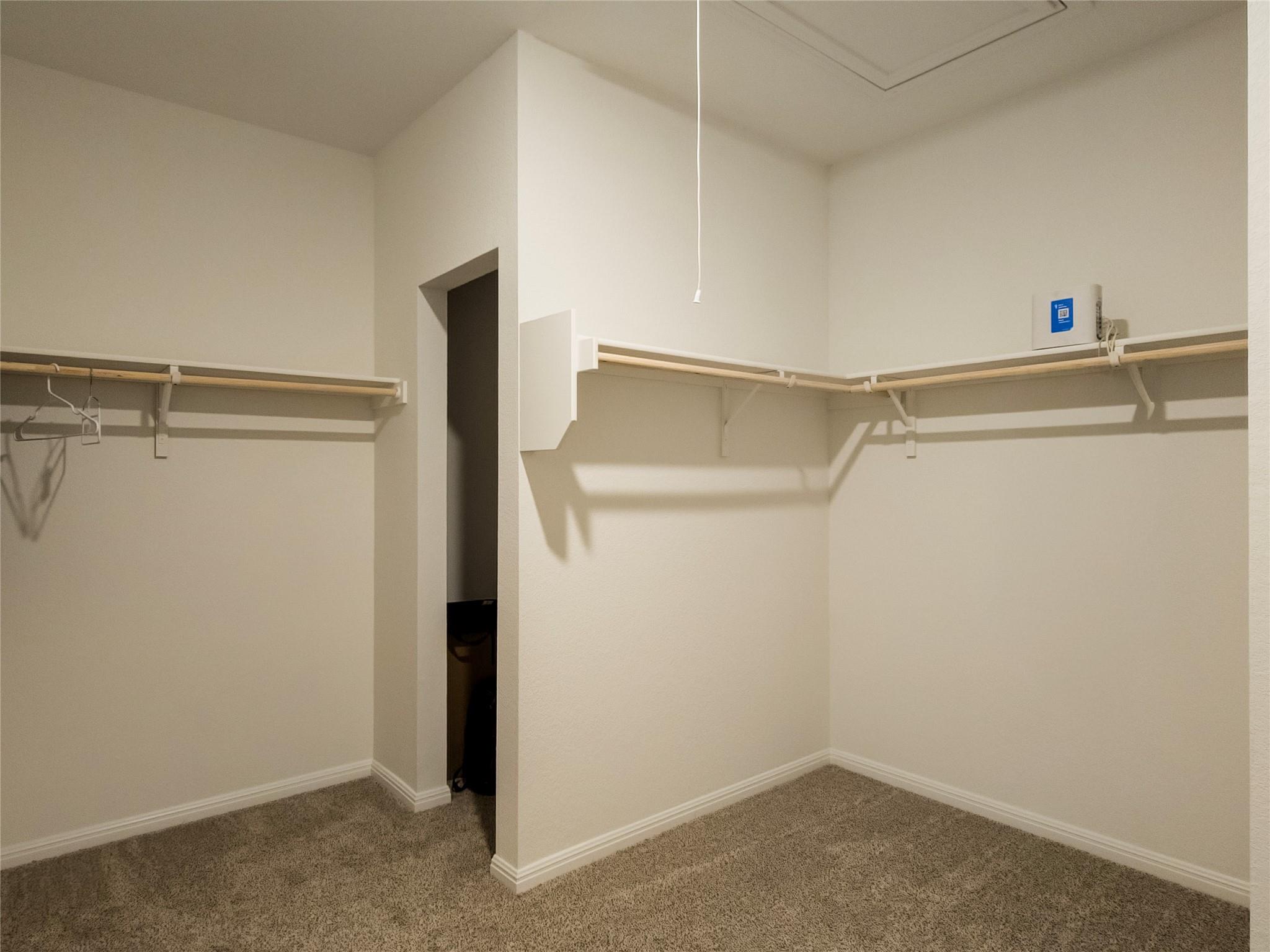 2333 March Hare TRCE