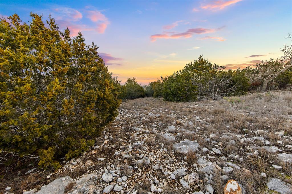 Lot 12 Purple Sage TRL