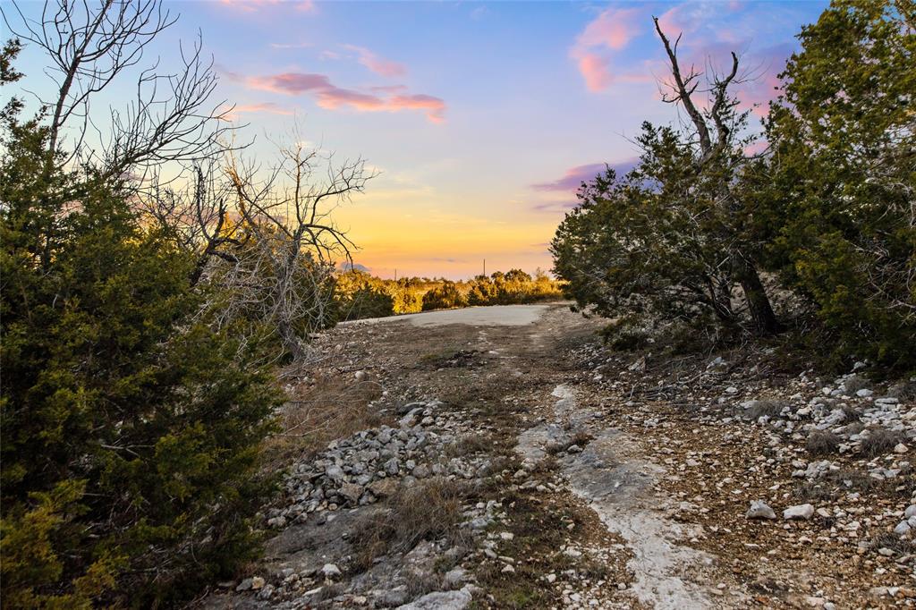 Lot 12 Purple Sage TRL