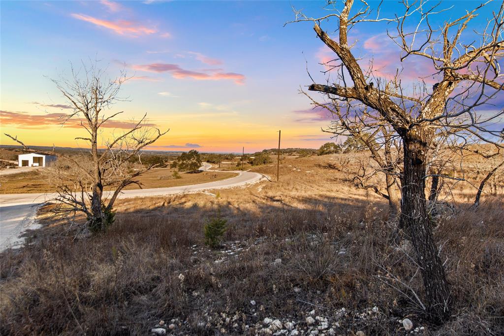 Lot 12 Purple Sage TRL