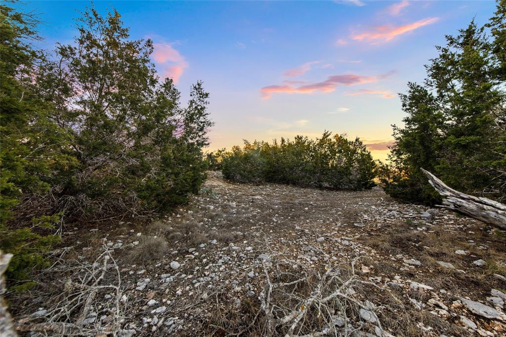 Lot 12 Purple Sage TRL