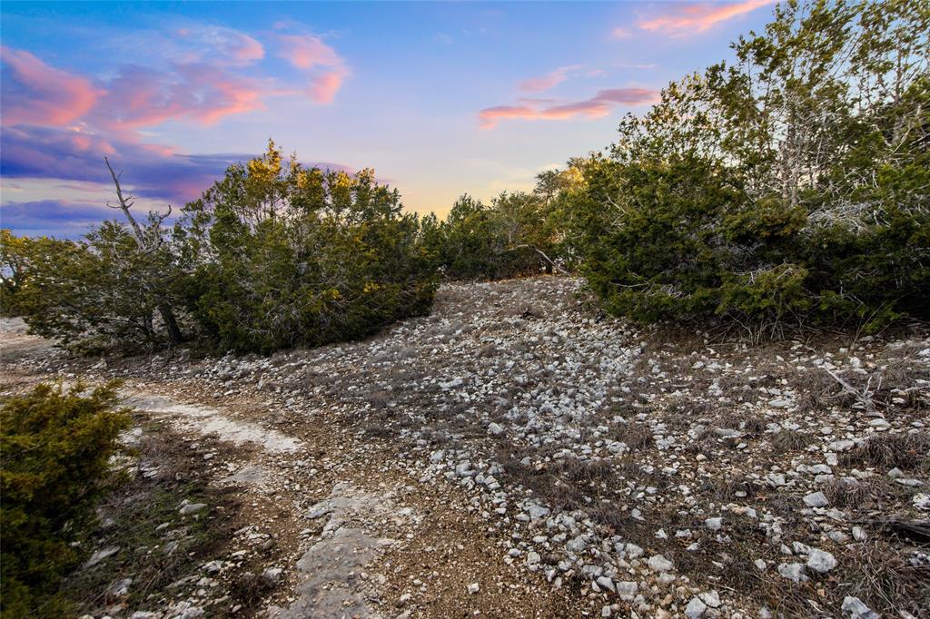 Lot 12 Purple Sage TRL
