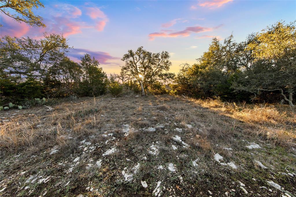 Lot 12 Purple Sage TRL