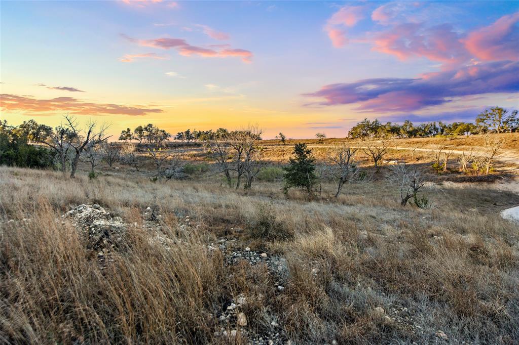 Lot 12 Purple Sage TRL