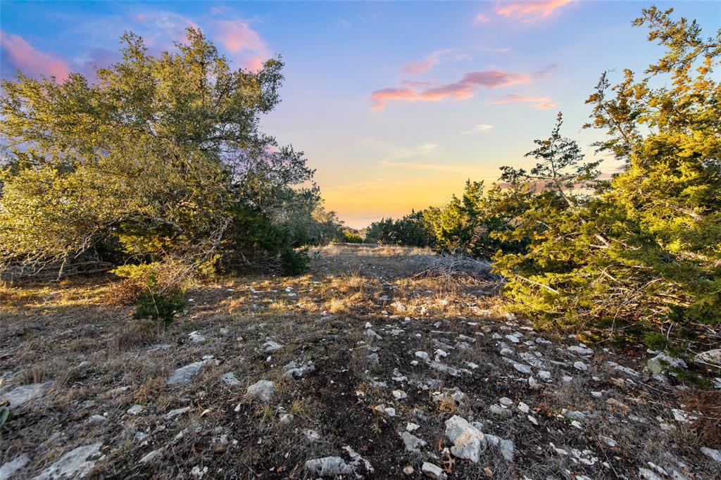 Lot 12 Purple Sage TRL