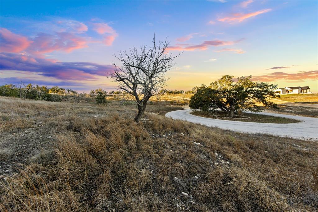 Lot 12 Purple Sage TRL