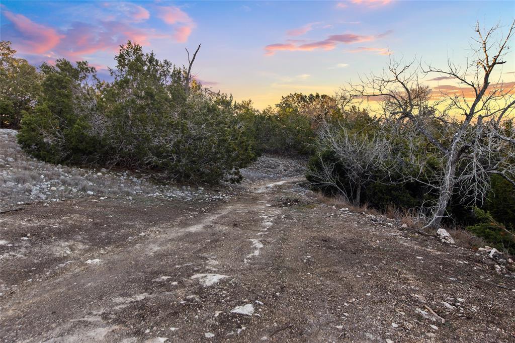 Lot 12 Purple Sage TRL