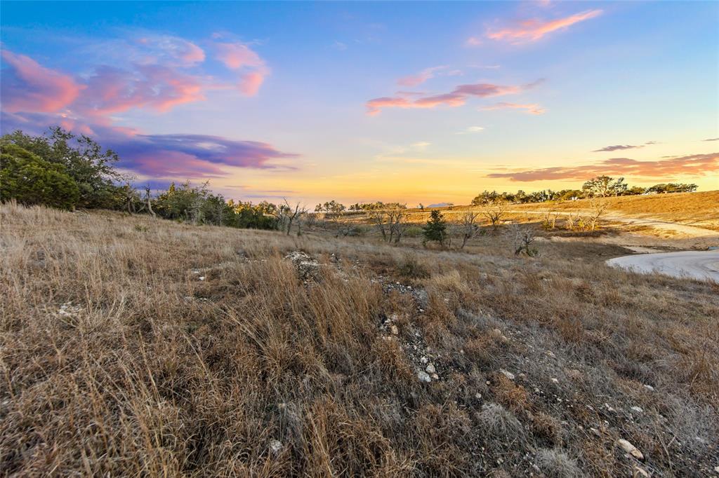 Lot 12 Purple Sage TRL