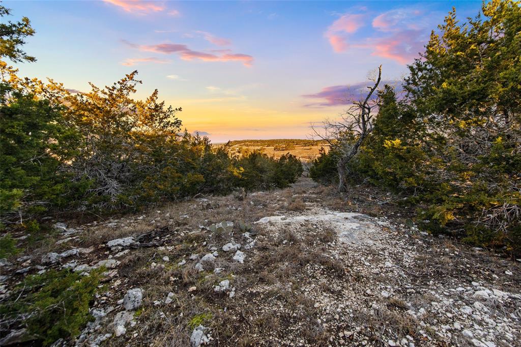 Lot 12 Purple Sage TRL