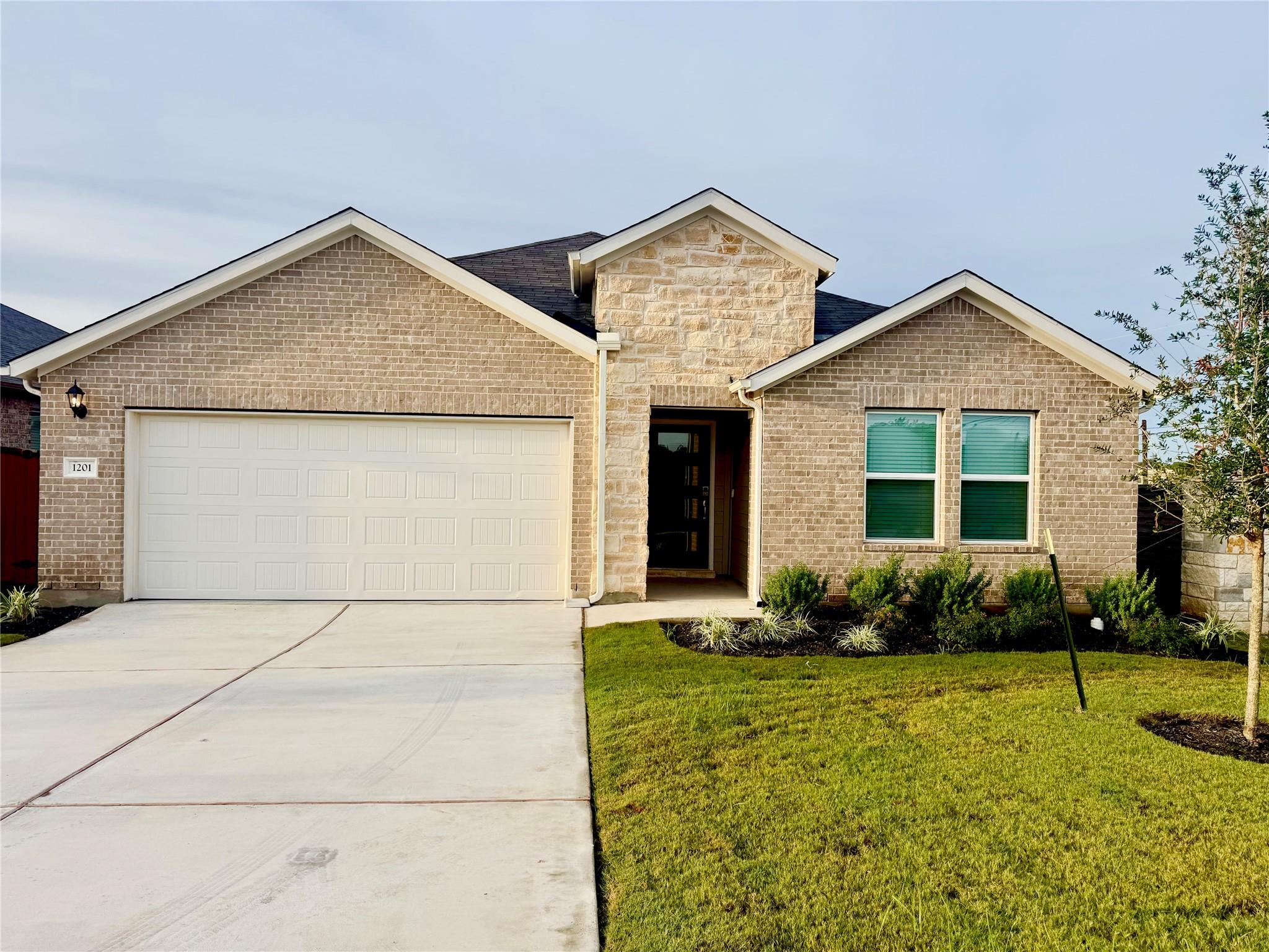 1201 Purple Martin DR