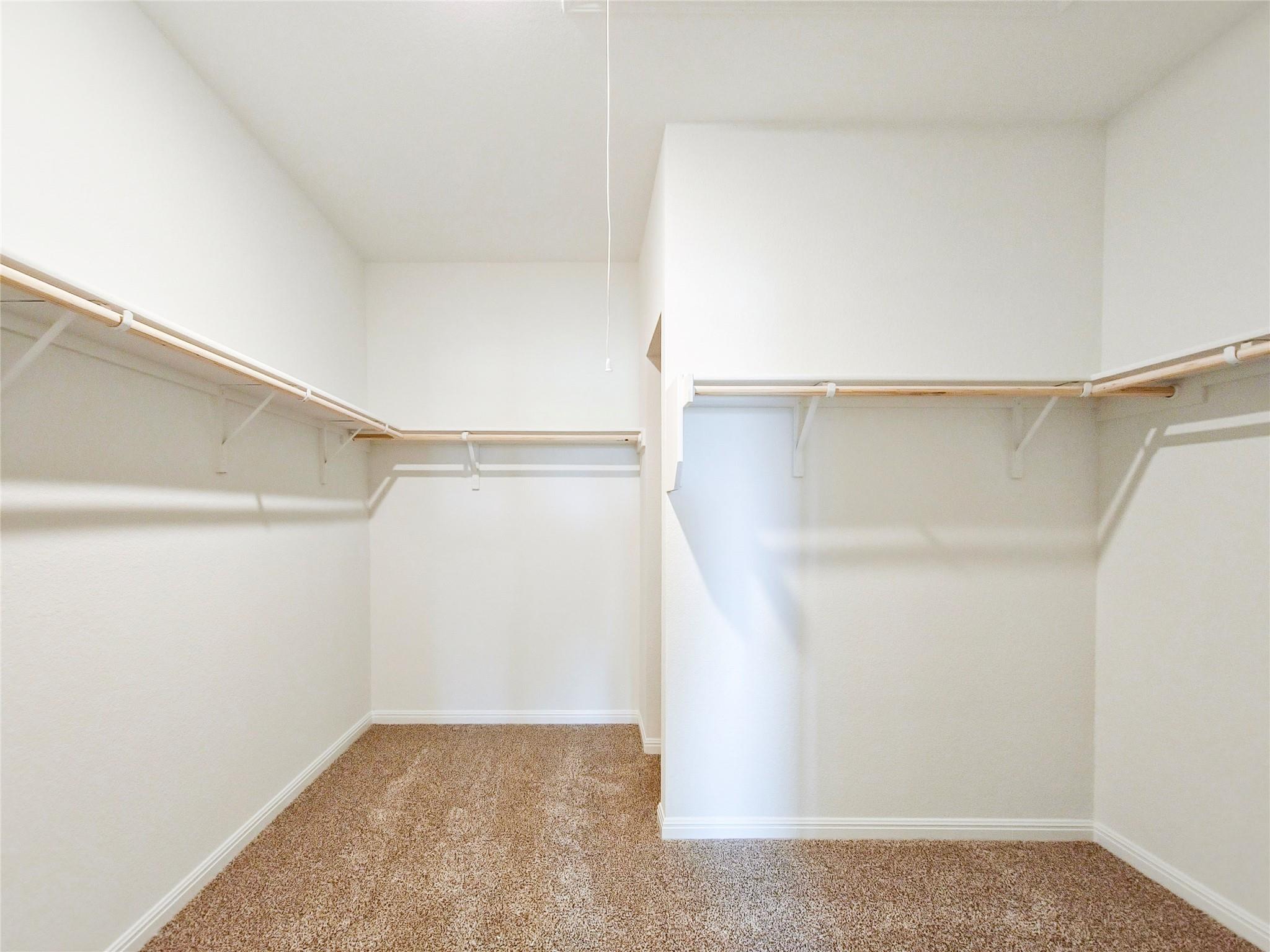 2313 March Hare TRCE