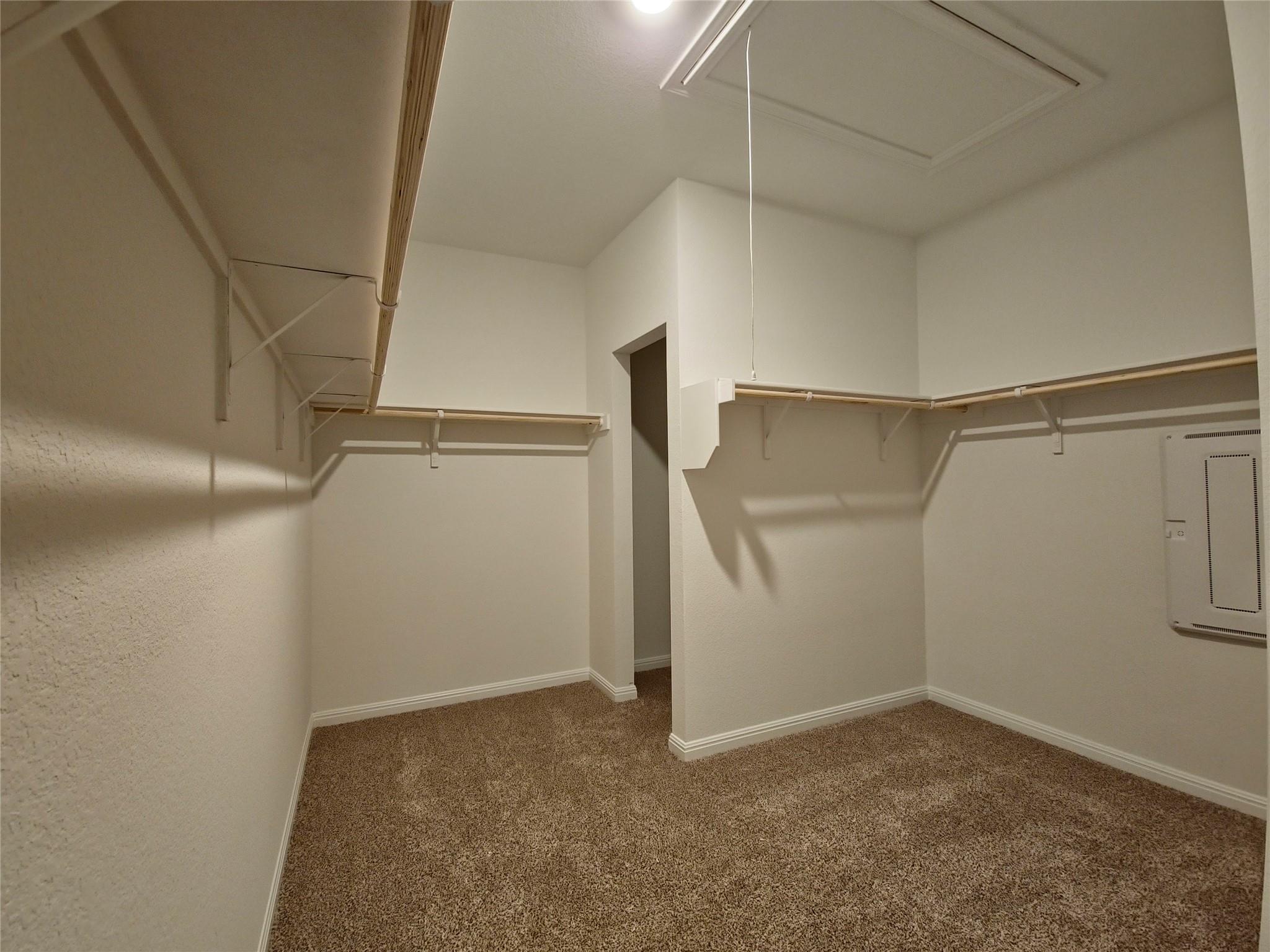 2313 March Hare TRCE