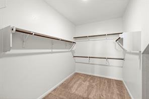 212 Sand Lily LN