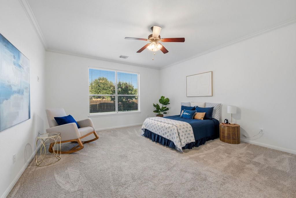 2976 Agave LOOP