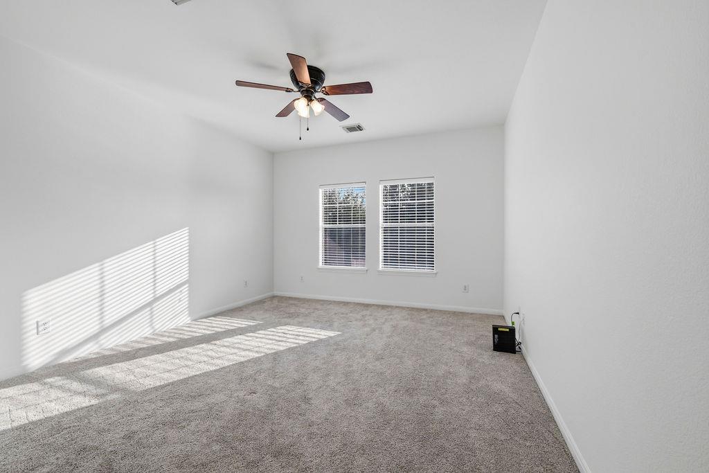 2976 Agave LOOP