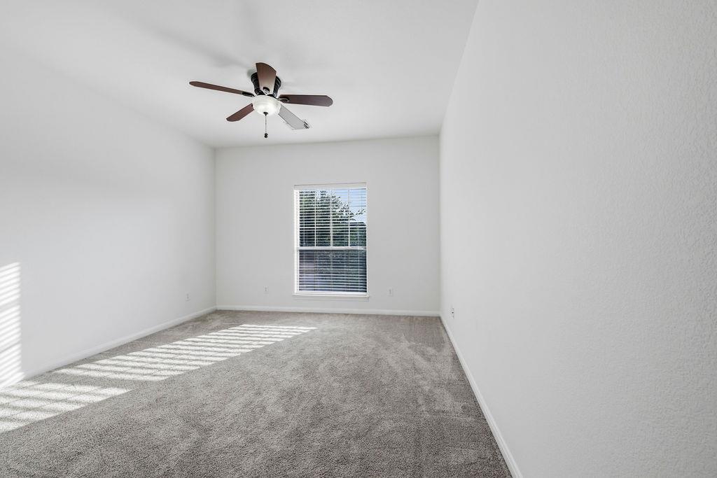 2976 Agave LOOP
