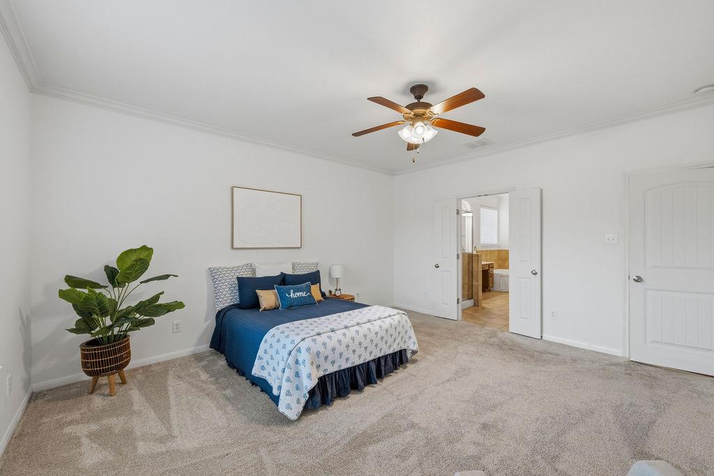 2976 Agave LOOP
