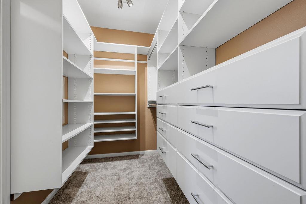 2976 Agave LOOP