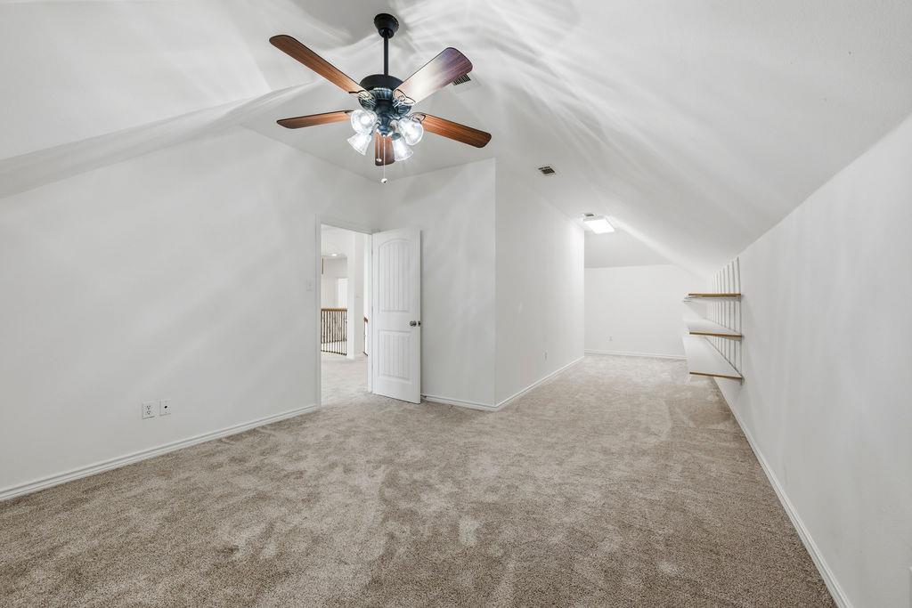 2976 Agave LOOP