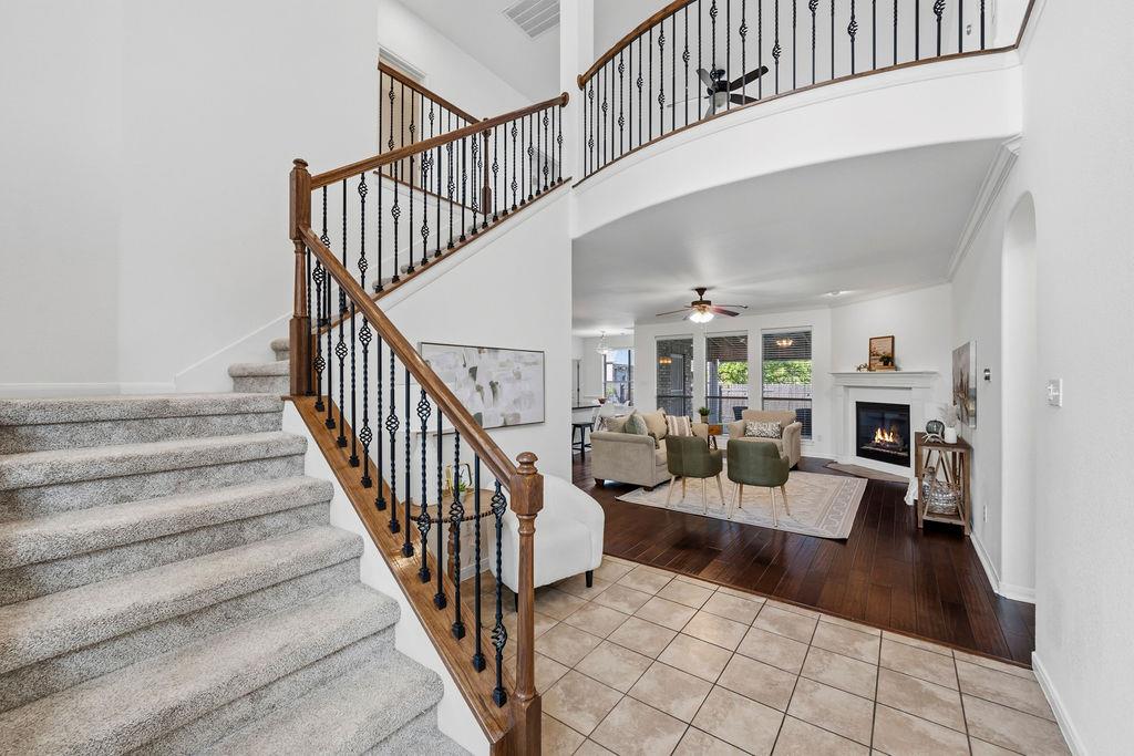 2976 Agave LOOP