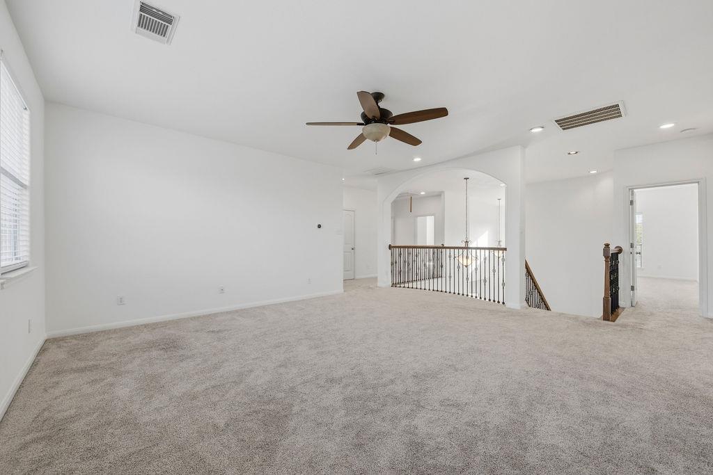 2976 Agave LOOP