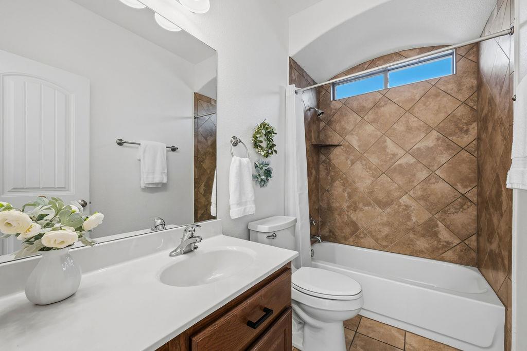 2976 Agave LOOP